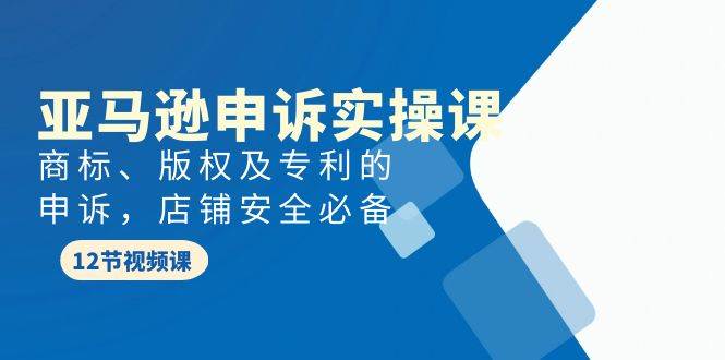 亚马逊-申诉实战课，商标、版权及专利的申诉，店铺安全必备-时光资源网
