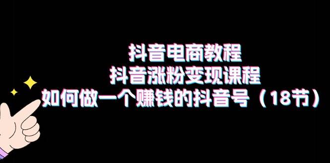 抖音电商教程：抖音涨粉变现课程：如何做一个赚钱的抖音号（18节）-时光资源网