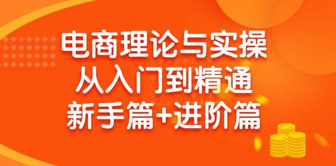 电商理论与实操从入门到精通 新手篇+进阶篇-时光资源网