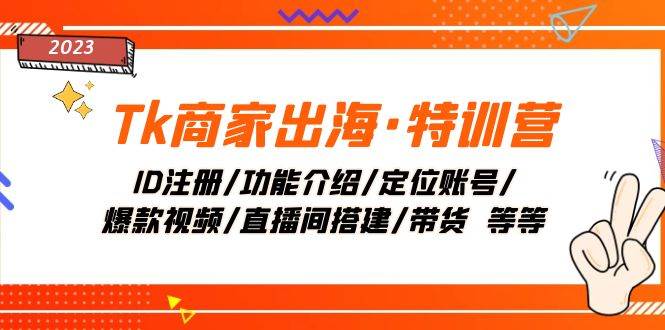 Tk商家出海·特训营：ID注册/功能介绍/定位账号/爆款视频/直播间搭建/带货-时光资源网
