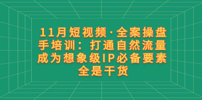 11月短视频·全案操盘手培训：打通自然流量 成为想象级IP必备要素 全是干货-时光资源网
