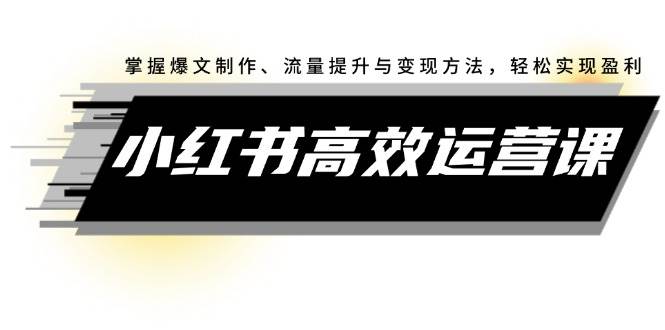 小红书高效运营课：掌握爆文制作、流量提升与变现方法，轻松实现盈利-时光资源网