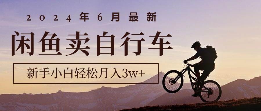 2024年6月最新闲鱼卖自行车，新手小白轻松月入3w+项目-时光资源网