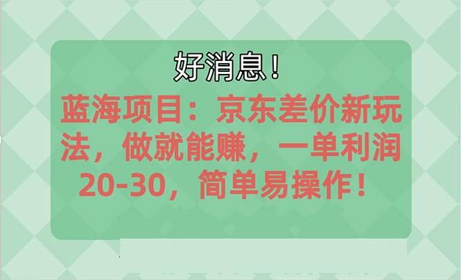 越早知道越能赚到钱的蓝海项目：京东大平台操作，一单利润20-30，简单…-时光资源网