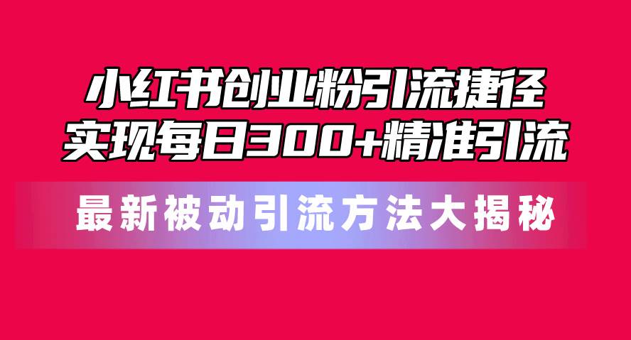 小红书创业粉引流捷径！最新被动引流方法大揭秘，实现每日300+精准引流-时光资源网