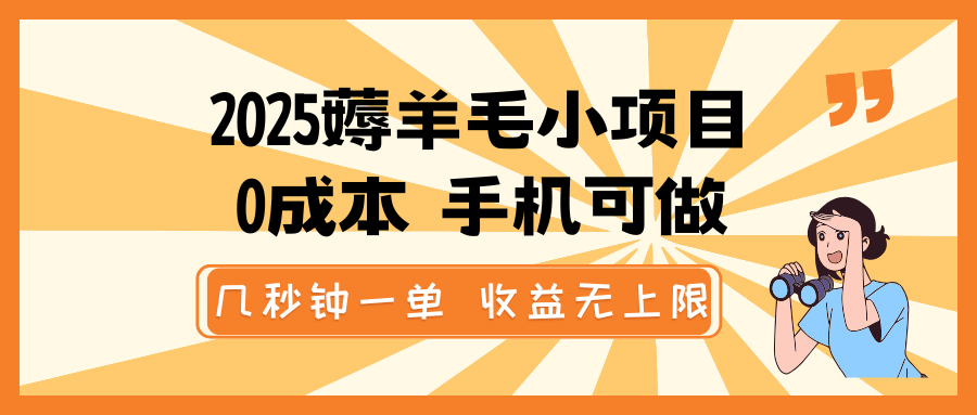 2025薅羊毛小项目，0成本 手机可做，几秒钟一单，收益无上限-时光资源网