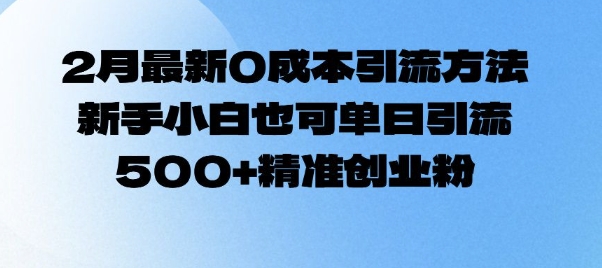 2月最新0成本引流方法，新手小白也可单日引流500+精准创业粉-时光资源网