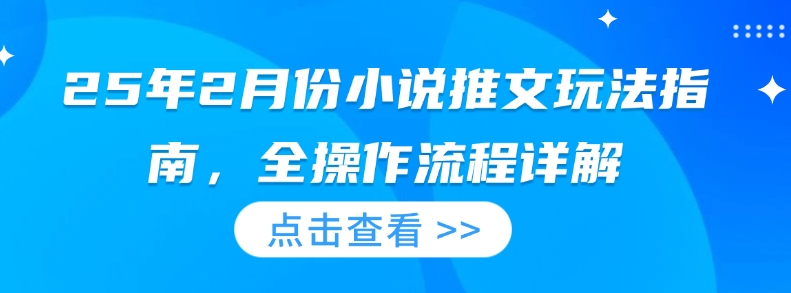 25年2月份小说推文玩法指南，全操作流程详解-时光资源网