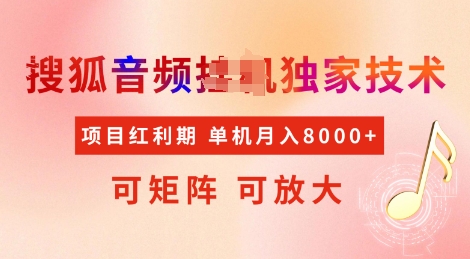 全网首发搜狐音频挂JI独家技术，项目红利期，可矩阵可放大，稳定月入8k【揭秘】-时光资源网