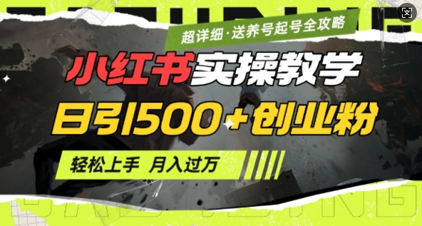2月小红书最新日引500+创业粉实操教学【超详细】小白轻松上手，月入1W+，附小红书养号起号SOP-时光资源网