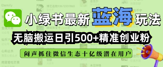 小绿书无脑搬运引流，全自动日引500精准创业粉，微信生态内又一个闷声发财的机会-时光资源网