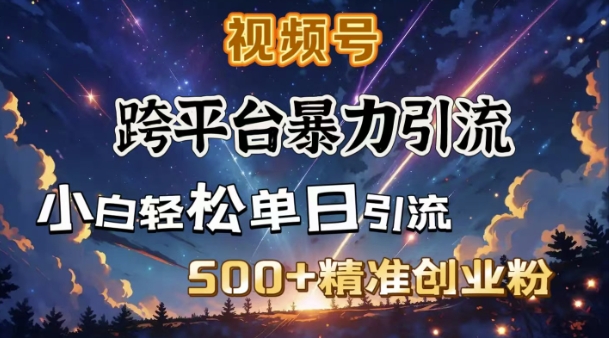 跨平台暴力引流，私域完美闭环，日引500+精准创业粉-时光资源网