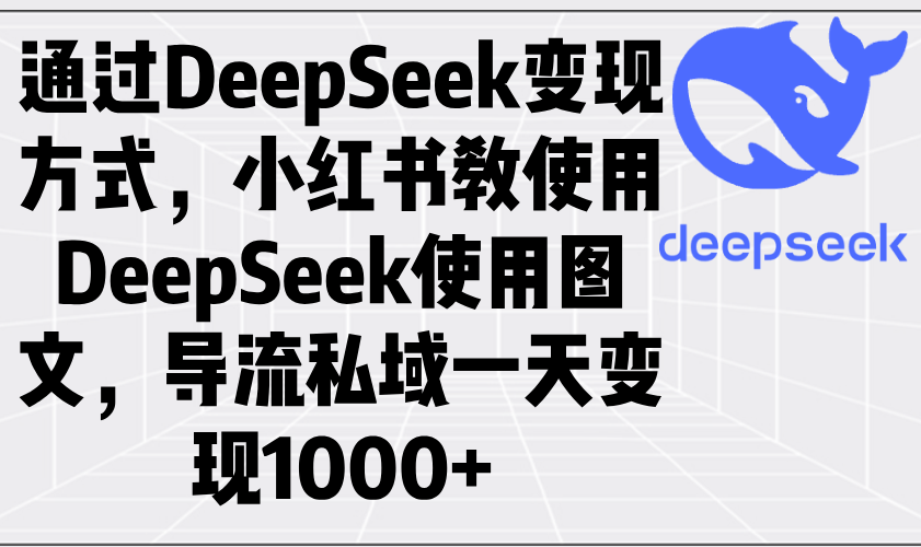 通过DeepSeek变现方式，小红书教使用DeepSeek图文，导流私域一天变现1000+-时光资源网
