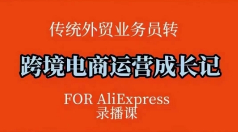 跨境电商速卖通运营课，​运营方法论+后台实操，逻辑清晰-时光资源网