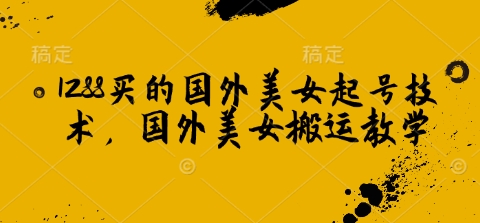 1288买的国外美女起号技术，国外美女搬运教学-时光资源网