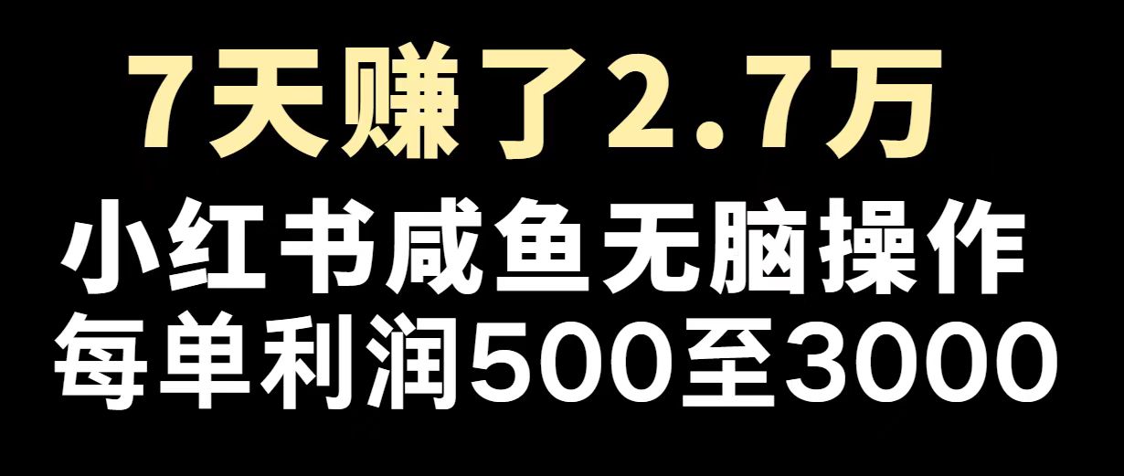 最赚钱项目之一，2025爆火，逆风翻盘！-时光资源网