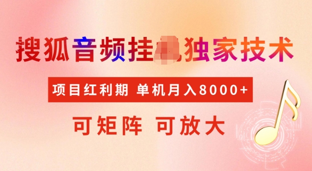 首发搜狐音频挂JI，项目红利期，可矩阵可放大，稳定月入5k【揭秘】-时光资源网