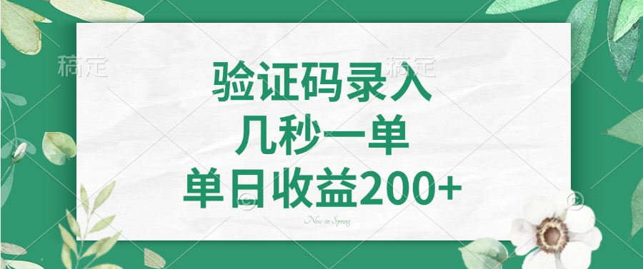 验证码录入，几秒一单，单日收益200+-时光资源网