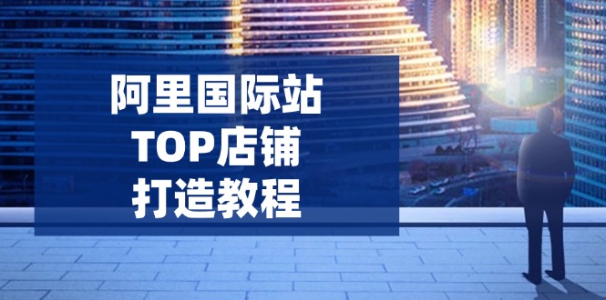 阿里国际站TOP店铺打造教程：涵盖平台到高阶，解决运营难题，提升询盘-时光资源网
