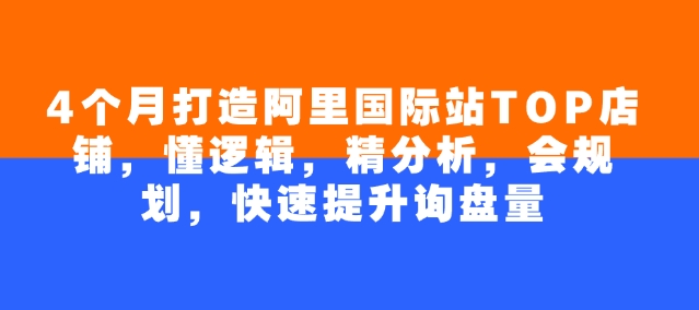 4个月打造阿里国际站TOP店铺，懂逻辑，精分析，会规划，快速提升询盘量-时光资源网