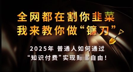 知识付费如何做到月入过W+，2025我来教你做“镰刀”【揭秘】-时光资源网