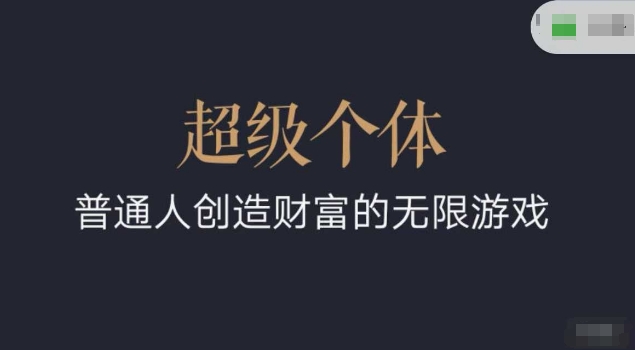 超级个体2024-2025翻盘指南，普通人创造财富的无限游戏-时光资源网