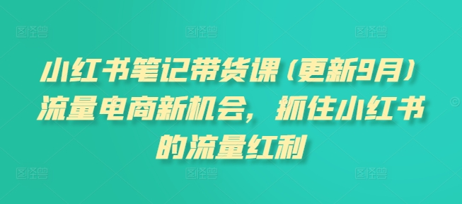 小红书笔记带货课(更新25年2月)流量电商新机会，抓住小红书的流量红利-时光资源网