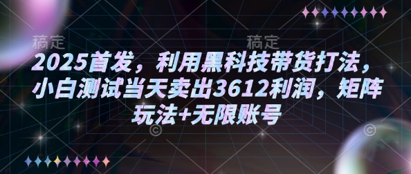 2025首发，利用黑科技带货打法，小白测试当天卖出3612利润，矩阵玩法+无限账号【揭秘】-时光资源网