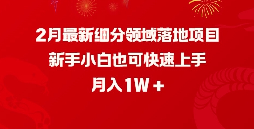 2月最新细分领域落地项目，新手小白也可快速上手，月入1W-时光资源网