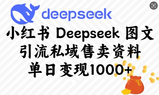 小红书Deepseek图文引流私域售卖资料，单日变现多张-时光资源网