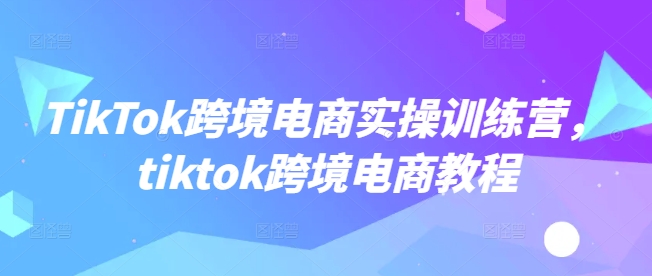 TikTok跨境电商实操训练营，tiktok跨境电商教程-时光资源网