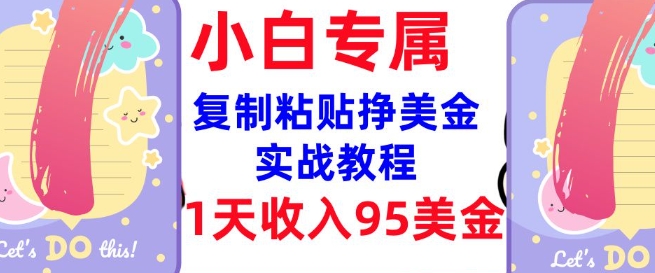 复制粘贴挣美金，0门槛，1天收入95美刀，3分钟学会，内部教程(首次公开)-时光资源网