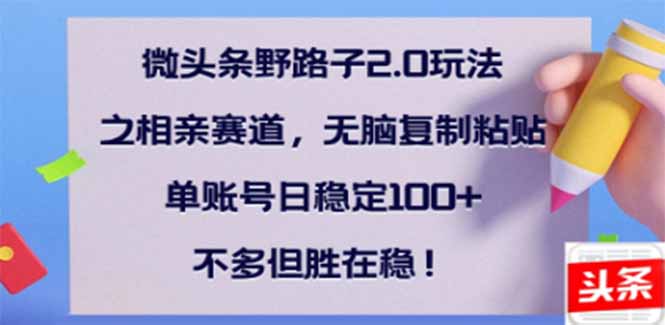 微头条野路子2.0玩法之相亲赛道，无脑搬砖复制粘贴，单账号日稳定300+…-时光资源网