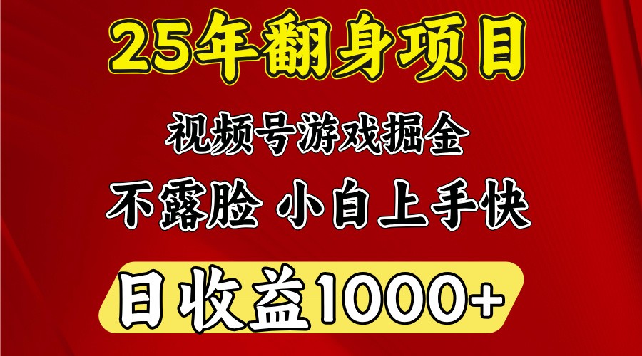 一天收益1000+ 25年开年落地好项目-时光资源网
