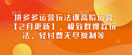 拼多多运营玩法课高阶运营【2月更新】，极致群爆款玩法，轻付费无尽复制等-时光资源网