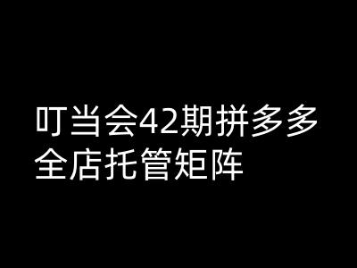 叮当会拼多多打爆班原创高阶技术第42期，拼多多全店托管矩阵-时光资源网