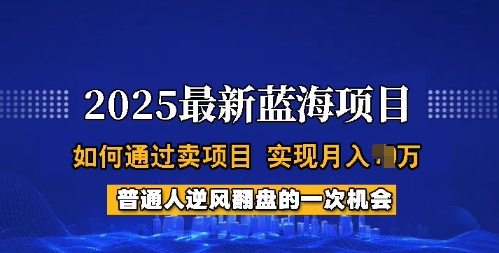 2025蓝海项目，普通人如何通过卖项目，实现月入过W，全过程【揭秘】-时光资源网