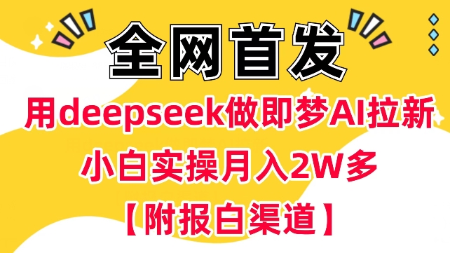 用deepseek做即梦Ai拉新 小白实操月入过W+【附报白渠道】-时光资源网