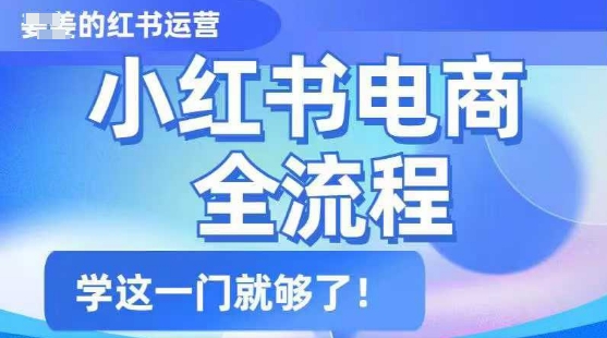 小红书电商全流程，精简易懂，从入门到精通，学这一门就够了-时光资源网