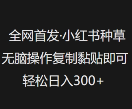 全网首发，小红书种草无脑操作，复制黏贴即可，轻松日入3张-时光资源网