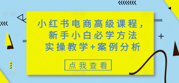 小红书电商高级课程，新手小白必学方法，实操教学+案例分析-时光资源网