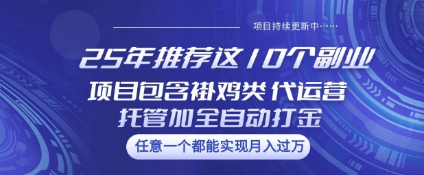 25年推荐这10个副业项目包含褂鸡类、代运营托管类、全自动打金类【揭秘】-时光资源网