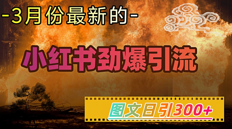小红书超劲爆引流手段，图文日引300+轻松变现1W-时光资源网