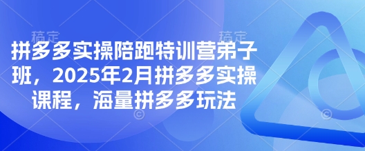 拼多多实操陪跑特训营弟子班，2025年2月拼多多实操课程，海量拼多多玩法-时光资源网