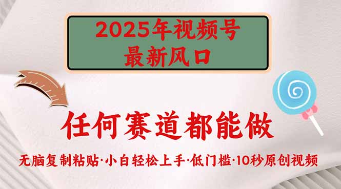 2025年视频号新风口，低门槛只需要无脑执行-时光资源网
