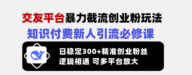 交友平台暴力截流创业粉玩法，知识付费新人引流必修课，日稳定300+精准创业粉丝，逻辑相通可多平台放大-时光资源网