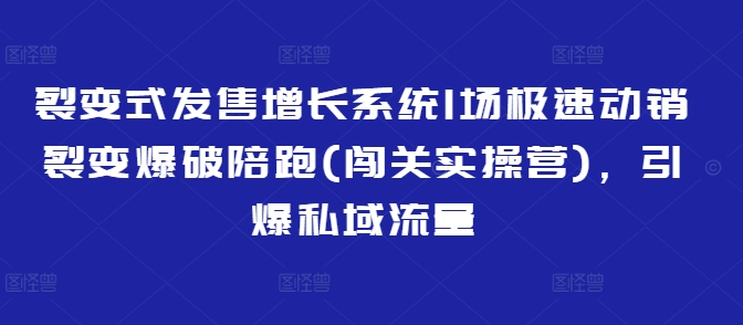 裂变式发售增长系统1场极速动销裂变爆破陪跑(闯关实操营)，引爆私域流量-时光资源网