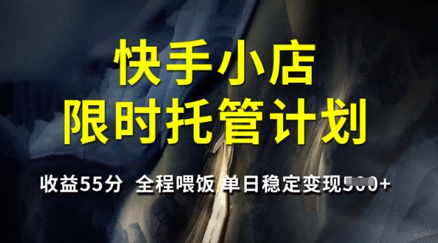快手小店限时托管计划，收益55分，全程喂饭，单日稳定变现5张【揭秘】-时光资源网