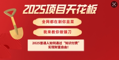 2025项目天花板普通人如何通过知识付费，实现财F自由【揭秘】-时光资源网