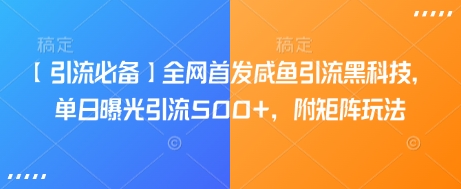 【引流必备】全网首发咸鱼引流黑科技，单日曝光引流500+，附矩阵玩法【揭秘】-时光资源网